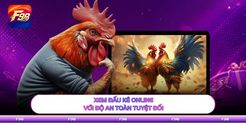 Xem đấu kê online với độ an toàn tuyệt đối